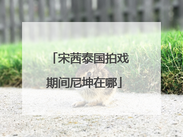 宋茜泰国拍戏期间尼坤在哪