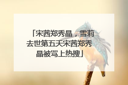 宋茜郑秀晶,雪莉去世第五天宋茜郑秀晶被骂上热搜