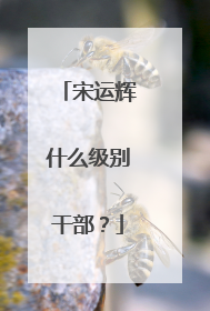 宋运辉什么级别干部？