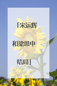 宋运辉和梁思申结局