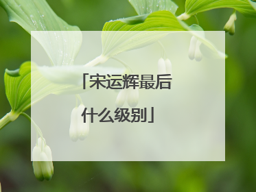 宋运辉最后什么级别