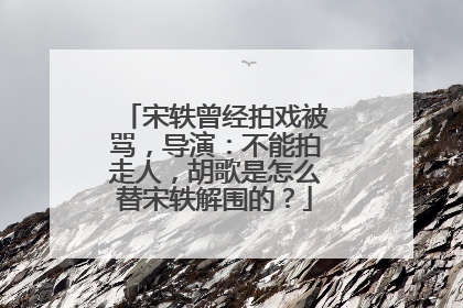 宋轶曾经拍戏被骂，导演：不能拍走人，胡歌是怎么替宋轶解围的？