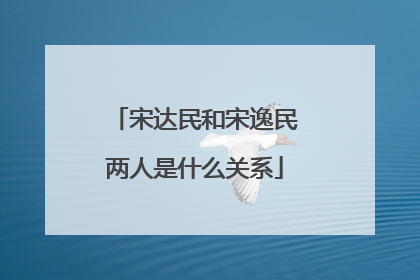 宋达民和宋逸民两人是什么关系
