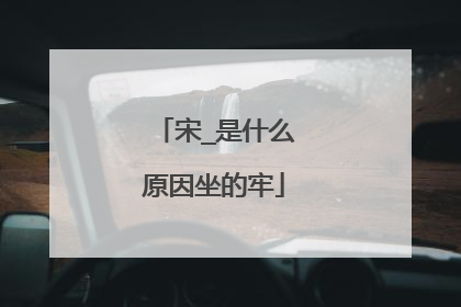 宋_是什么原因坐的牢