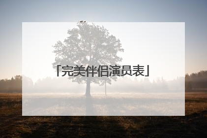 完美伴侣演员表