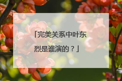 完美关系中叶东烈是谁演的？