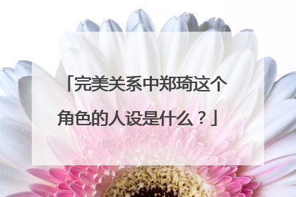 完美关系中郑琦这个角色的人设是什么？