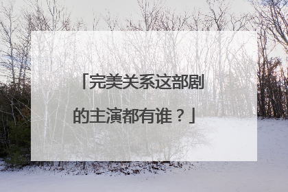 完美关系这部剧的主演都有谁?