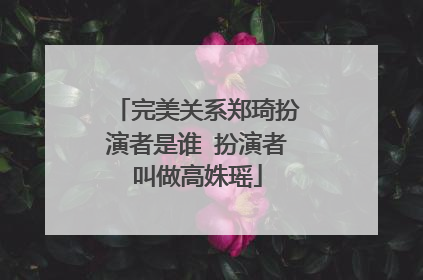 完美关系郑琦扮演者是谁 扮演者叫做高姝瑶