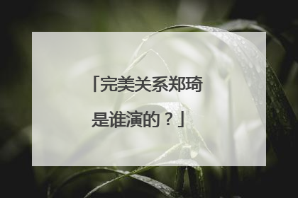 完美关系郑琦是谁演的？