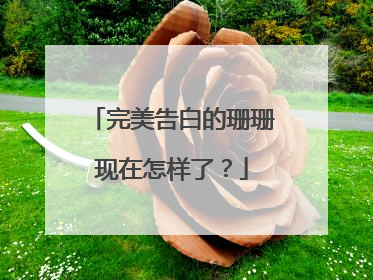 完美告白的珊珊现在怎样了？