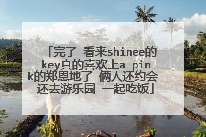完了 看来shinee的key真的喜欢上a pink的郑恩地了 俩人还约会 还去游乐园 一起吃饭