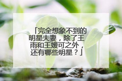 完全想象不到的明星夫妻,除了王雨和王媛可之外,还有哪些明星?