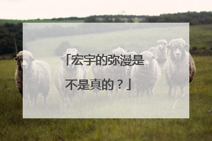 宏宇的弥漫是不是真的？