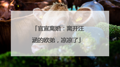 官宣离婚：离开汪涵的欧弟，凉凉了