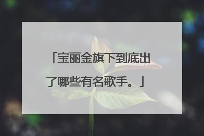 宝丽金旗下到底出了哪些有名歌手。