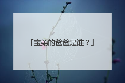 宝弟的爸爸是谁?