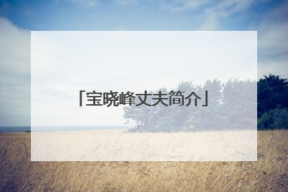 宝晓峰丈夫简介