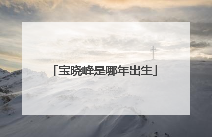 宝晓峰是哪年出生