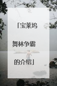 宝莱坞舞林争霸的介绍