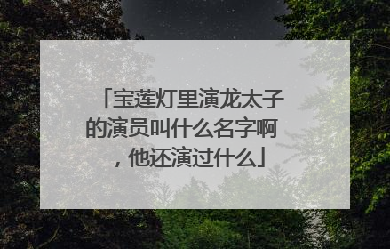 宝莲灯里演龙太子的演员叫什么名字啊,他还演过什么