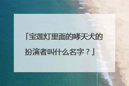 宝莲灯里面的哮天犬的扮演者叫什么名字?
