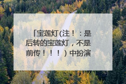 宝莲灯(注!:是后转的宝莲灯,不是前传!!!)中扮演哪吒的男孩是谁?他的名字和个人资料