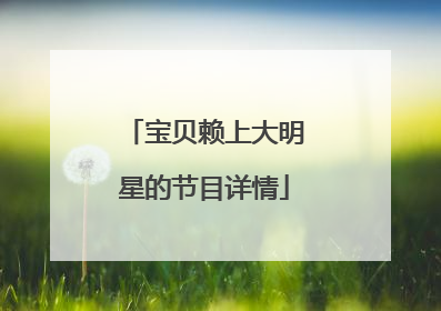 宝贝赖上大明星的节目详情