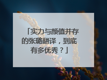 实力与颜值并存的张璐翻译,到底有多优秀?