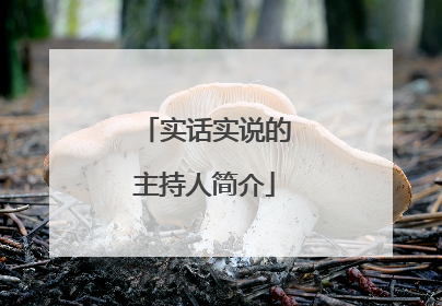 实话实说的主持人简介