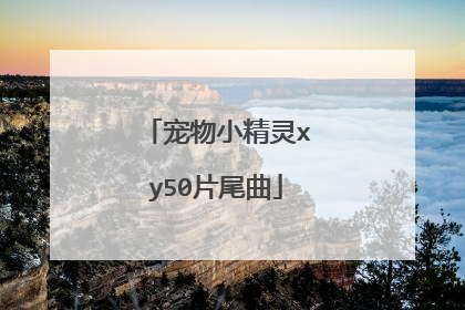 宠物小精灵xy50片尾曲