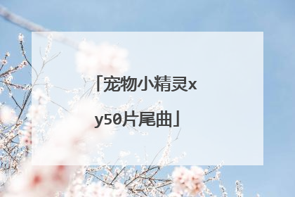 宠物小精灵xy50片尾曲