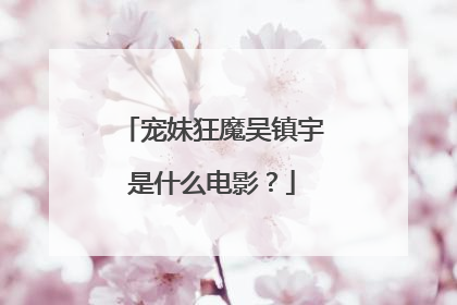 宠妹狂魔吴镇宇是什么电影?