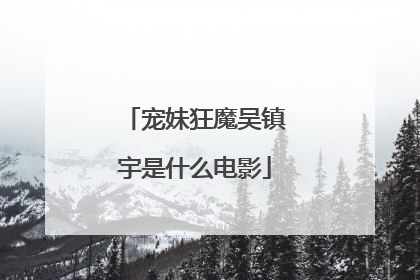 宠妹狂魔吴镇宇是什么电影