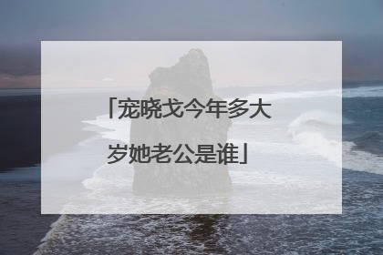 宠晓戈今年多大岁她老公是谁