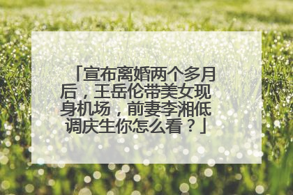 宣布离婚两个多月后，王岳伦带美女现身机场，前妻李湘低调庆生你怎么看？