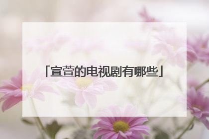 宣萱的电视剧有哪些