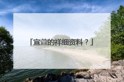 宣萱的祥细资料？