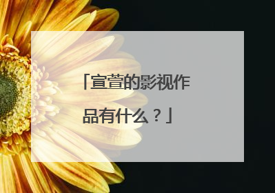 宣萱的影视作品有什么？