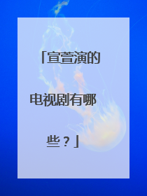宣萱演的电视剧有哪些?