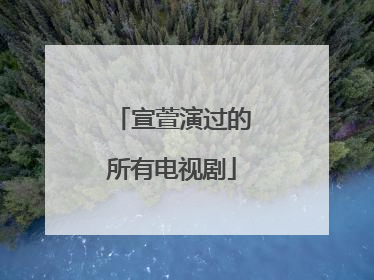 宣萱演过的所有电视剧