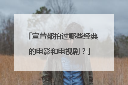 宣萱都拍过哪些经典的电影和电视剧？
