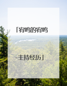 宥鸣的宥鸣-主持经历