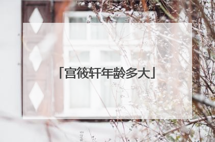 宫筱轩年龄多大