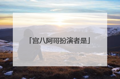 宫八阿哥扮演者是