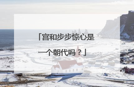 宫和步步惊心是一个朝代吗？
