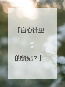 宫心计里的贤妃？