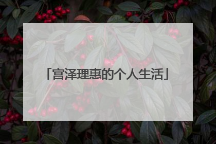 宫泽理惠的个人生活