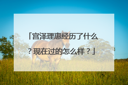 宫泽理惠经历了什么?现在过的怎么样?