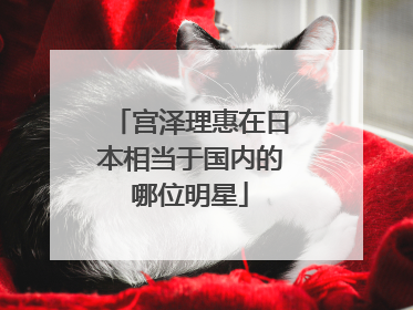 宫泽理惠在日本相当于国内的哪位明星